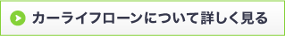 カーライフローンについて詳しく見る